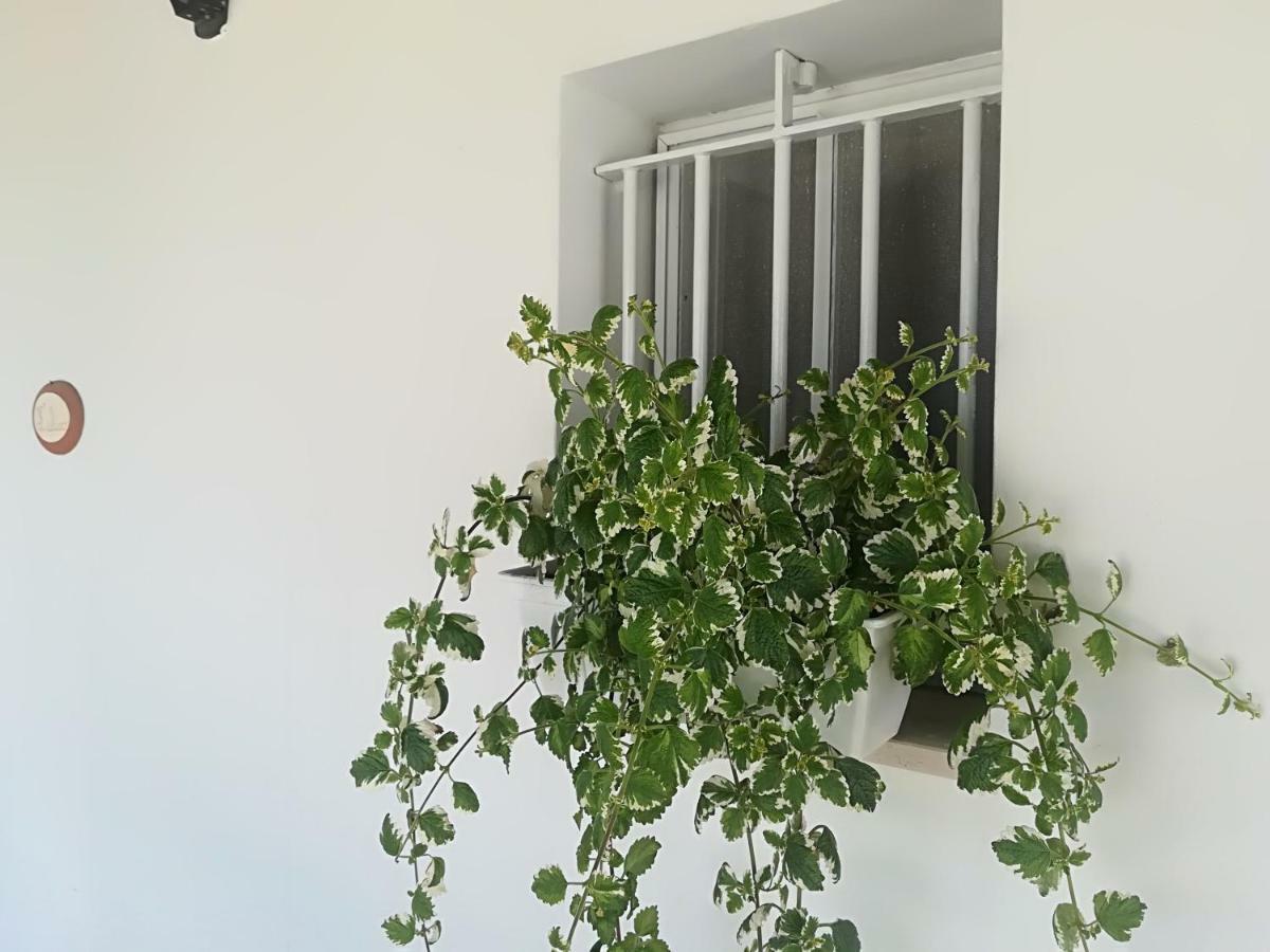 Aparthotel Il Sogno à Alberobello Extérieur photo
