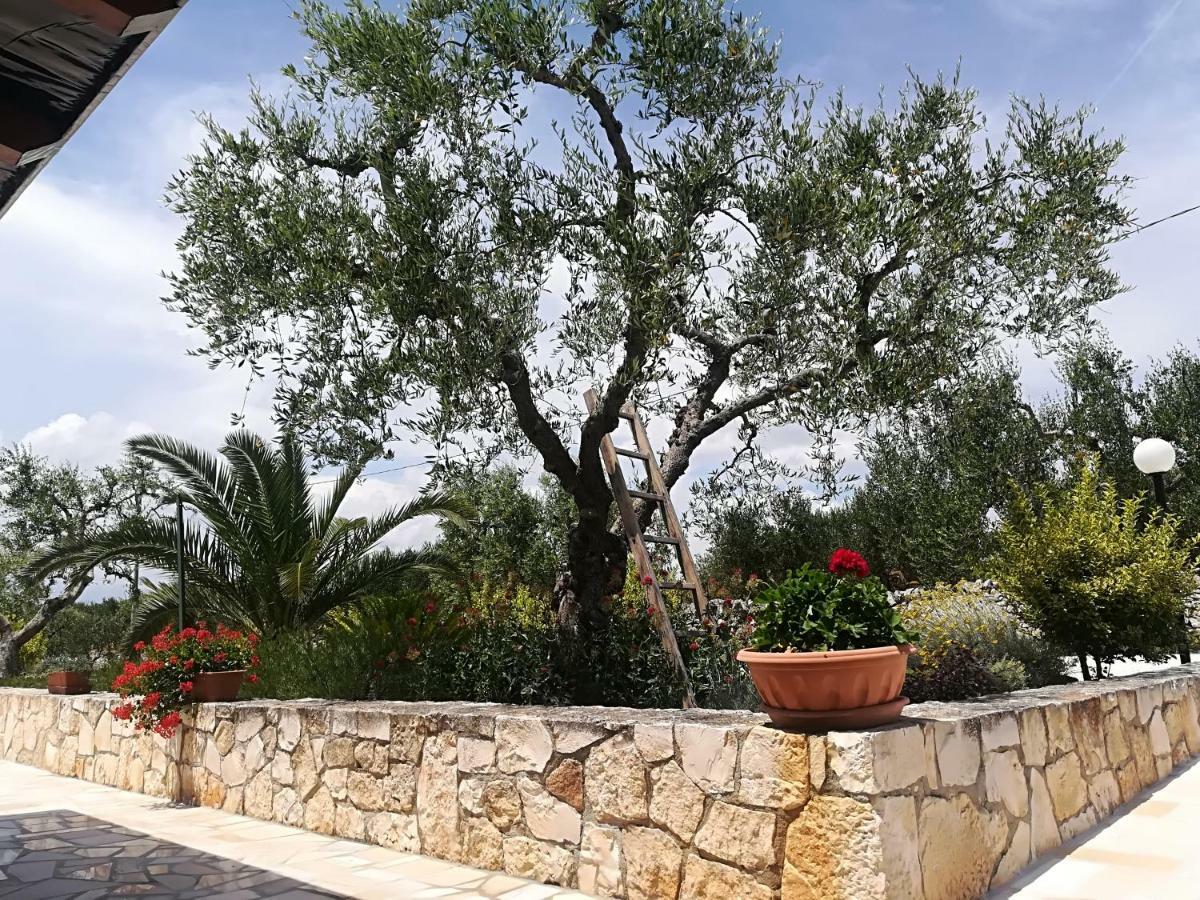 Aparthotel Il Sogno à Alberobello Extérieur photo